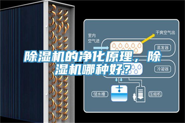 除濕機(jī)的凈化原理，除濕機(jī)哪種好？