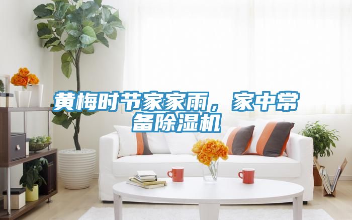 黃梅時節(jié)家家雨，家中常備除濕機