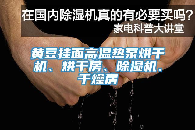 黃豆掛面高溫?zé)岜煤娓蓹C、烘干房、除濕機、干燥房