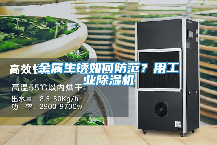 金屬生銹如何防范？用工業(yè)除濕機