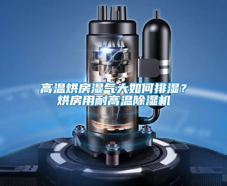 高溫烘房濕氣大如何排濕？烘房用耐高溫除濕機(jī)