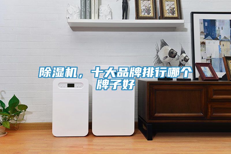 除濕機，十大品牌排行哪個牌子好