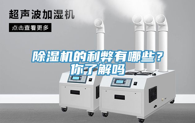 除濕機(jī)的利弊有哪些？你了解嗎