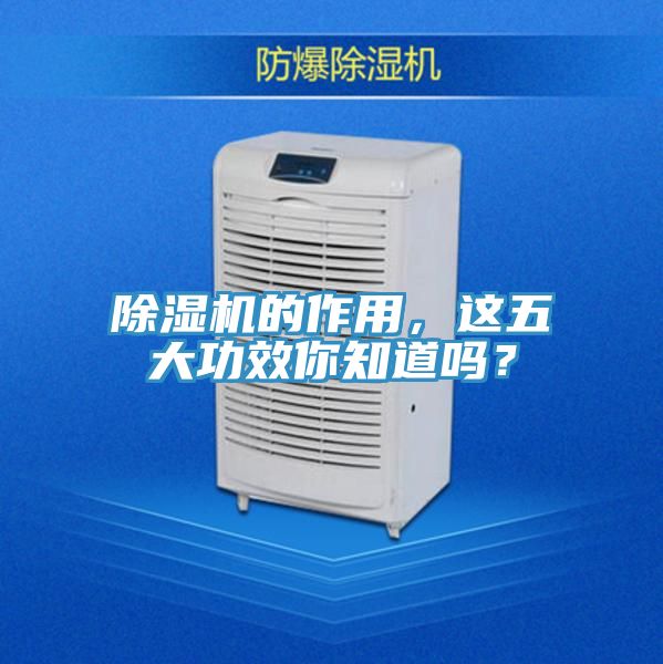 除濕機的作用，這五大功效你知道嗎？