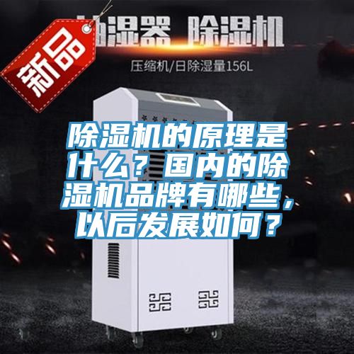 除濕機(jī)的原理是什么？國(guó)內(nèi)的除濕機(jī)品牌有哪些，以后發(fā)展如何？