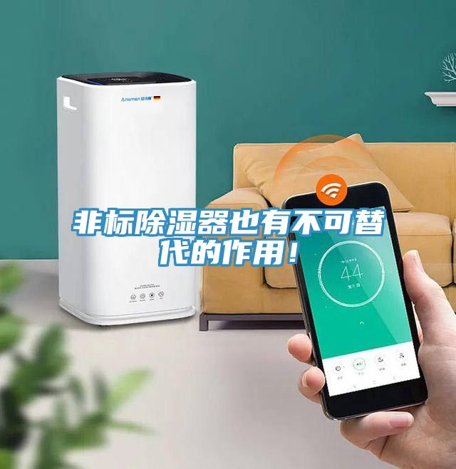 非標(biāo)除濕器也有不可替代的作用！