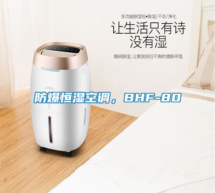 防爆恒濕空調(diào)，BHF-80