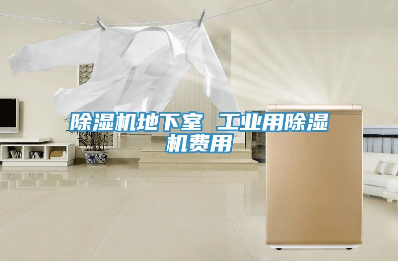 除濕機地下室 工業(yè)用除濕機費用