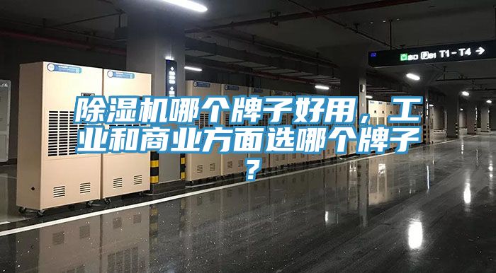 除濕機(jī)哪個(gè)牌子好用，工業(yè)和商業(yè)方面選哪個(gè)牌子？