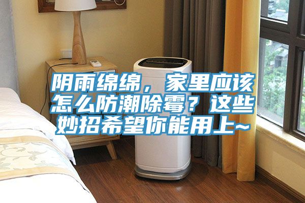 陰雨綿綿，家里應(yīng)該怎么防潮除霉？這些妙招希望你能用上~