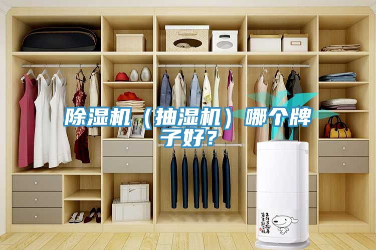 除濕機（抽濕機）哪個牌子好？