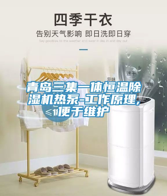 青島三集一體恒溫除濕機熱泵-工作原理,便于維護(hù)