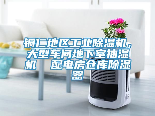 銅仁地區(qū)工業(yè)除濕機(jī)，大型車(chē)間地下室抽濕機(jī)  配電房倉(cāng)庫(kù)除濕器