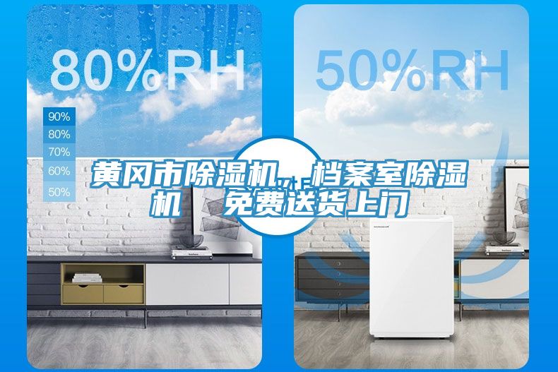 黃岡市除濕機，檔案室除濕機  免費送貨上門