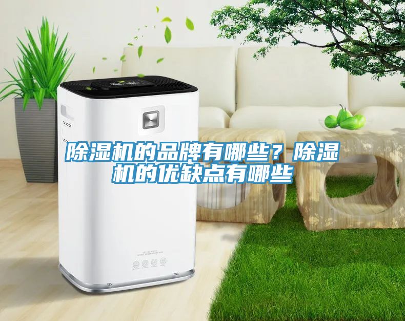 除濕機(jī)的品牌有哪些？除濕機(jī)的優(yōu)缺點(diǎn)有哪些