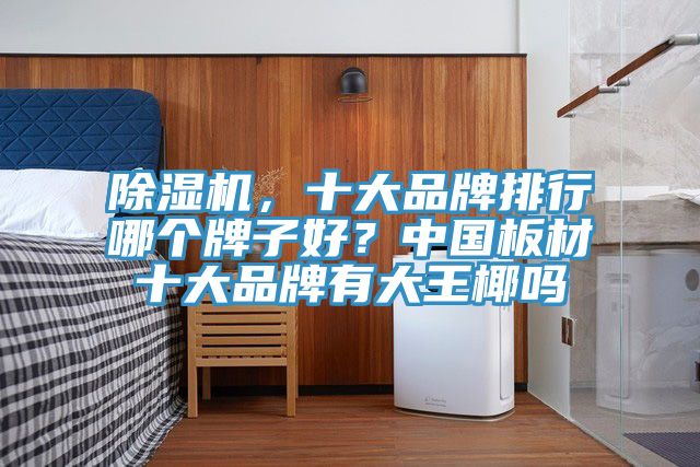 除濕機(jī)，十大品牌排行哪個牌子好？中國板材十大品牌有大王椰嗎