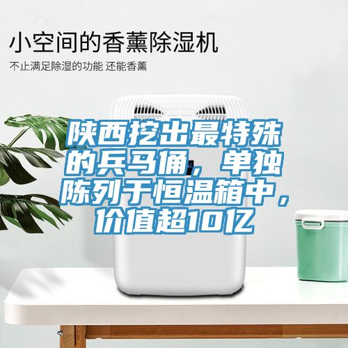 陜西挖出最特殊的兵馬俑，單獨(dú)陳列于恒溫箱中，價(jià)值超10億