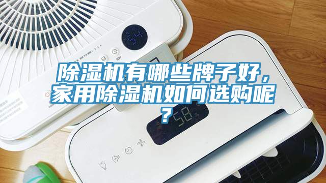 除濕機有哪些牌子好，家用除濕機如何選購呢？