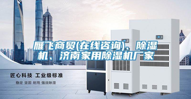 雁飛商貿(mào)(在線咨詢)、除濕機、濟南家用除濕機廠家