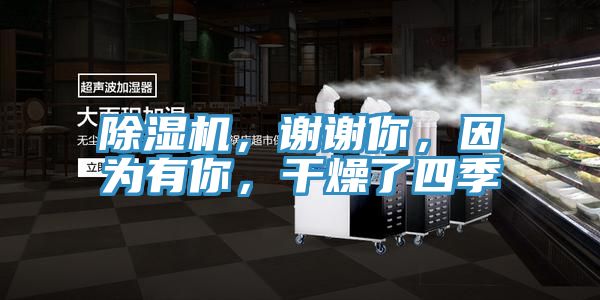 除濕機，謝謝你，因為有你，干燥了四季