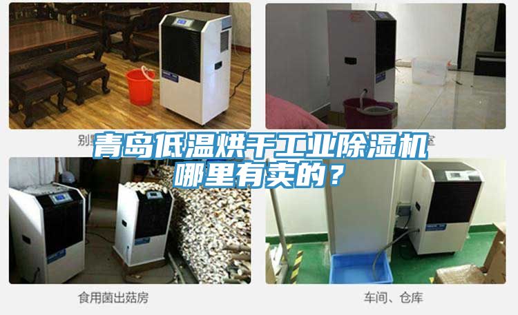 青島低溫烘干工業(yè)除濕機(jī)哪里有賣的？
