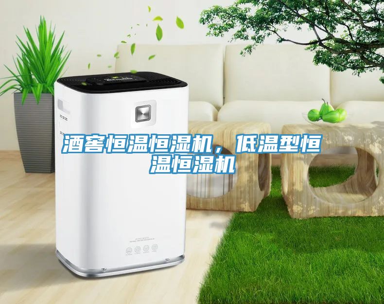 酒窖恒溫恒濕機(jī)，低溫型恒溫恒濕機(jī)