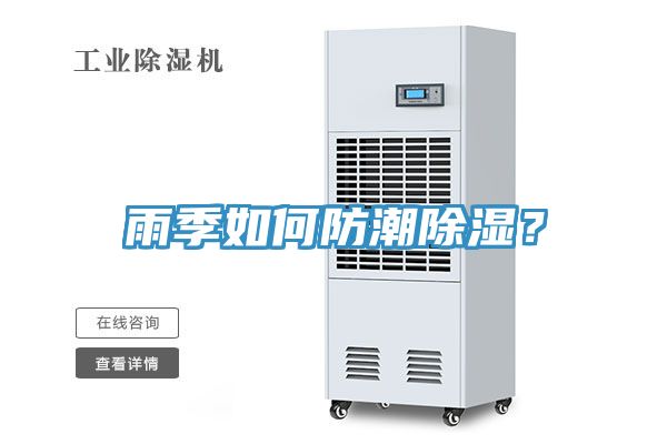 雨季如何防潮除濕？