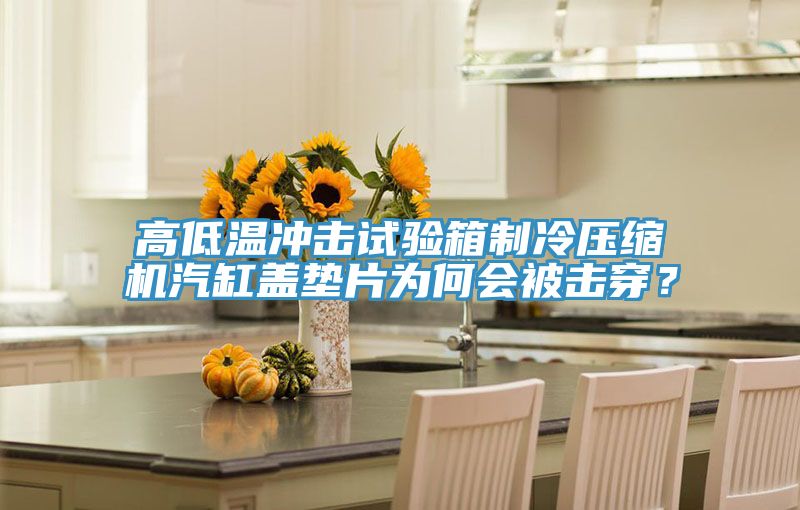 高低溫沖擊試驗(yàn)箱制冷壓縮機(jī)汽缸蓋墊片為何會被擊穿？