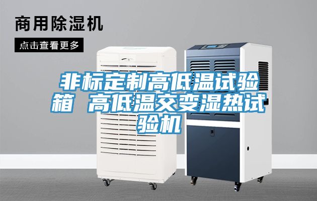 非標(biāo)定制高低溫試驗箱 高低溫交變濕熱試驗機(jī)