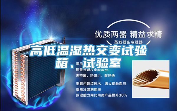 高低溫濕熱交變?cè)囼?yàn)箱、試驗(yàn)室