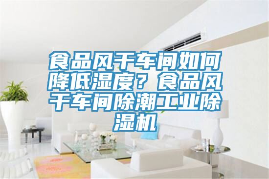 食品風干車間如何降低濕度？食品風干車間除潮工業(yè)除濕機
