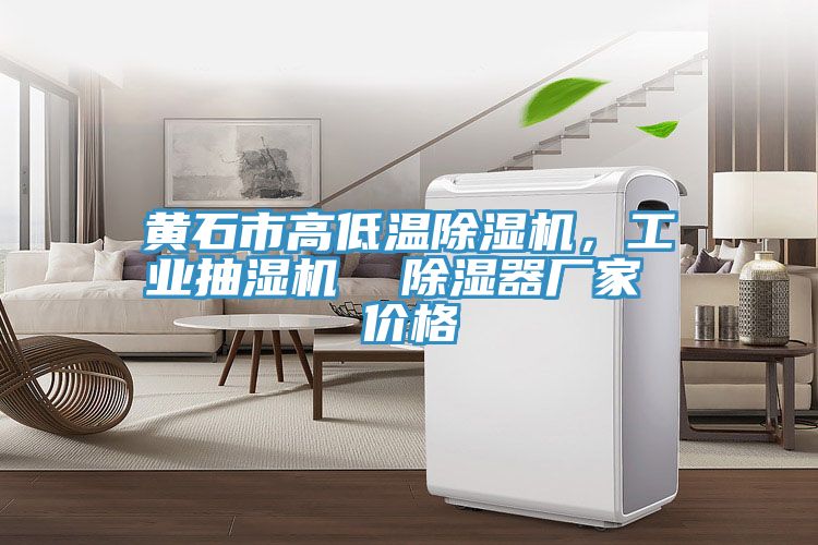 黃石市高低溫除濕機(jī)，工業(yè)抽濕機(jī)  除濕器廠家 價(jià)格