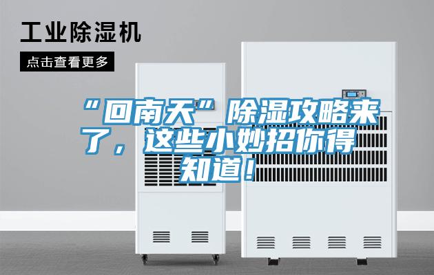 “回南天”除濕攻略來了，這些小妙招你得知道！