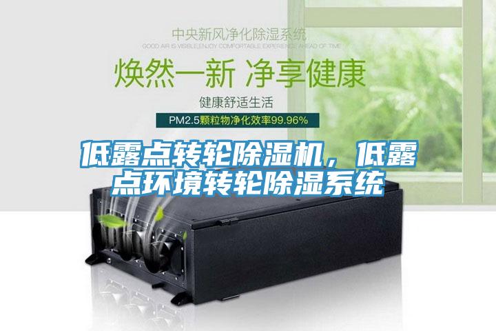 低露點(diǎn)轉(zhuǎn)輪除濕機(jī)，低露點(diǎn)環(huán)境轉(zhuǎn)輪除濕系統(tǒng)