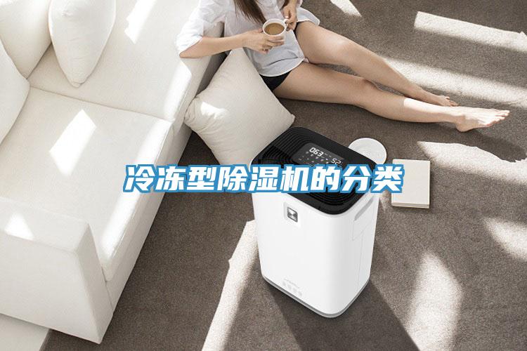 冷凍型除濕機(jī)的分類(lèi)