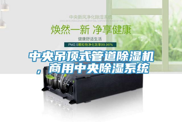 中央吊頂式管道除濕機，商用中央除濕系統(tǒng)