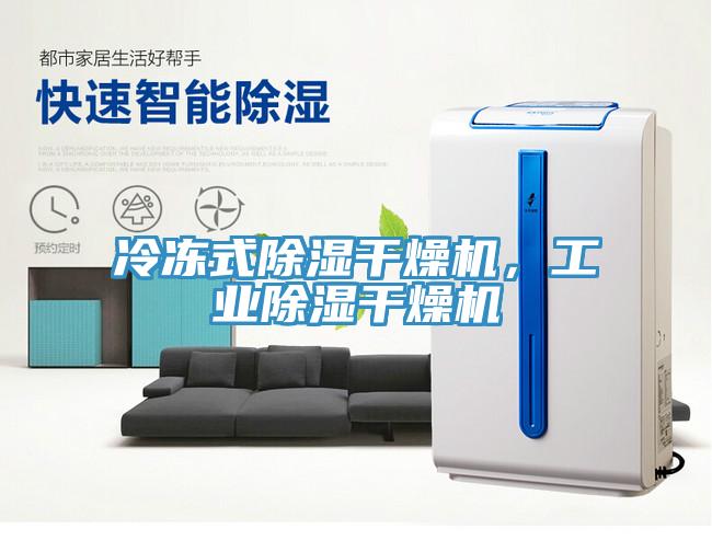 冷凍式除濕干燥機，工業(yè)除濕干燥機