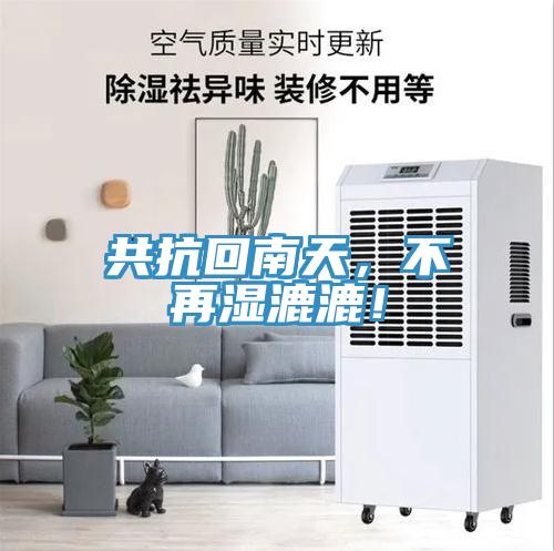 共抗回南天，不再濕漉漉！