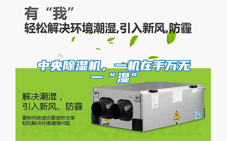 中央除濕機(jī)，一機(jī)在手萬無一“濕”