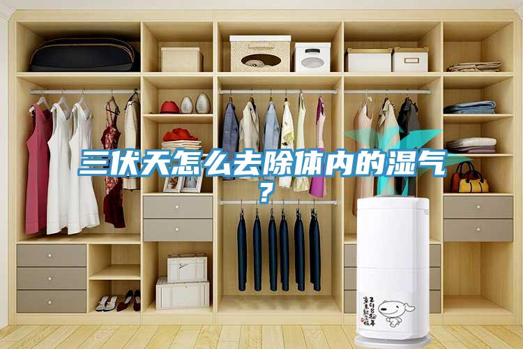 三伏天怎么去除體內(nèi)的濕氣？