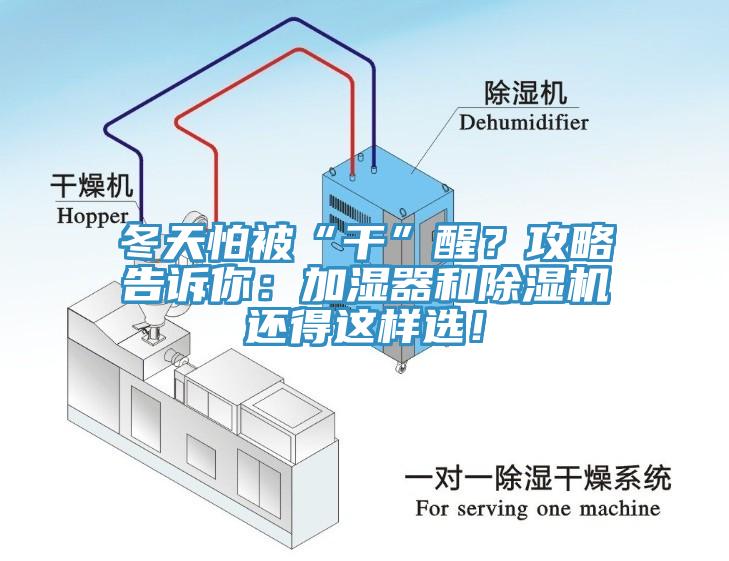 冬天怕被“干”醒？攻略告訴你：加濕器和除濕機(jī)還得這樣選！