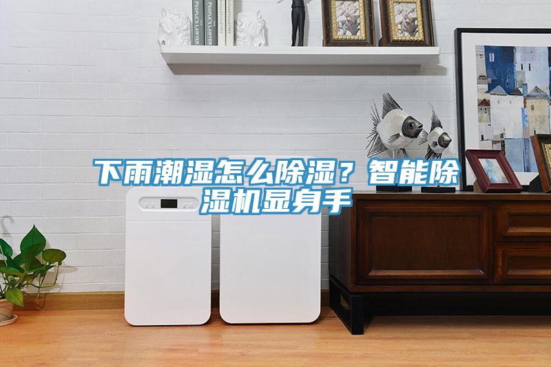 下雨潮濕怎么除濕？智能除濕機顯身手