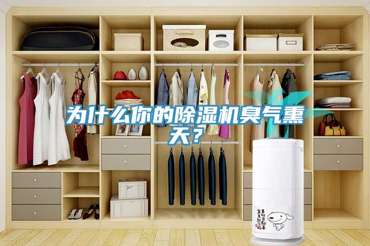 為什么你的除濕機(jī)臭氣熏天？