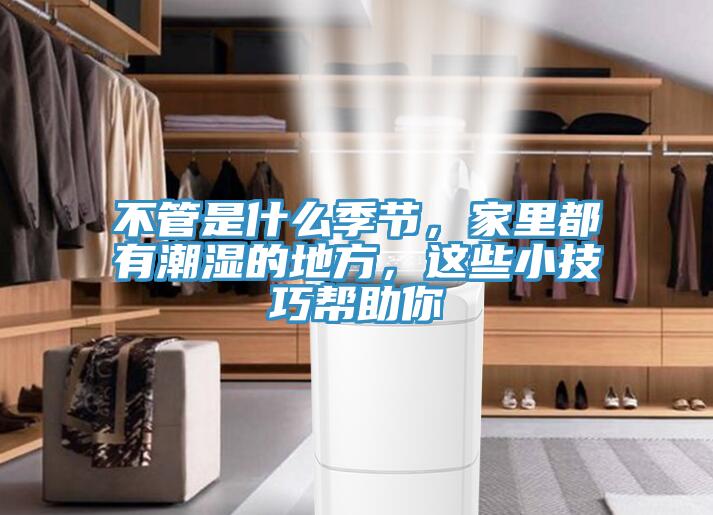 不管是什么季節(jié)，家里都有潮濕的地方，這些小技巧幫助你