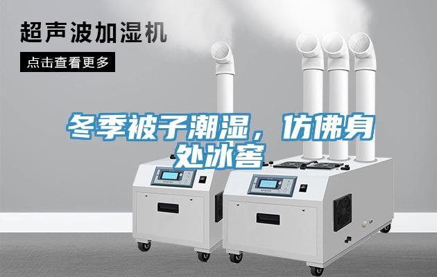 冬季被子潮濕，仿佛身處冰窖