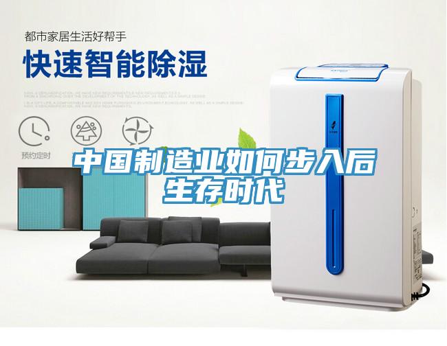 中國(guó)制造業(yè)如何步入后生存時(shí)代