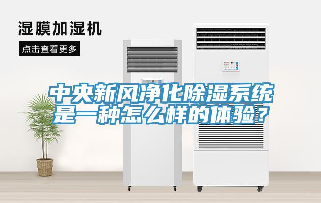 中央新風(fēng)凈化除濕系統(tǒng)是一種怎么樣的體驗(yàn)？