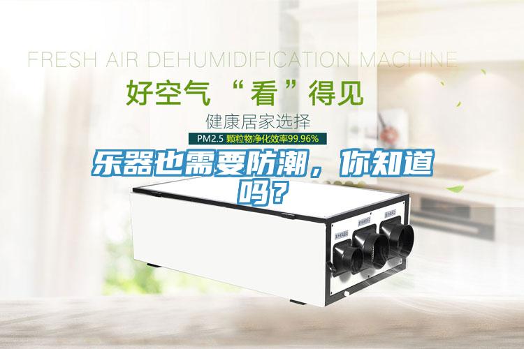 樂器也需要防潮，你知道嗎？