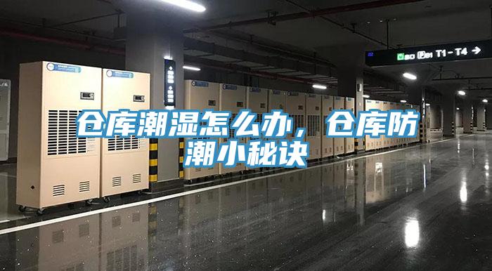 倉(cāng)庫(kù)潮濕怎么辦，倉(cāng)庫(kù)防潮小秘訣