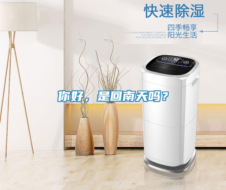 你好，是回南天嗎？